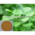 Selling natural Ginkgo Biloba Extract 24/6, various plant extract